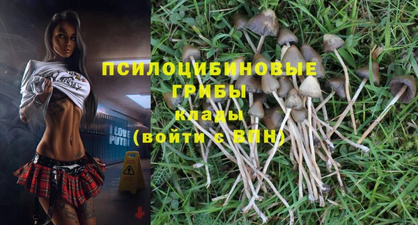 прущая мука Белокуриха