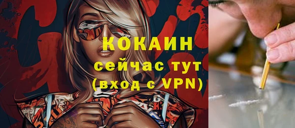 хмурый Богородск