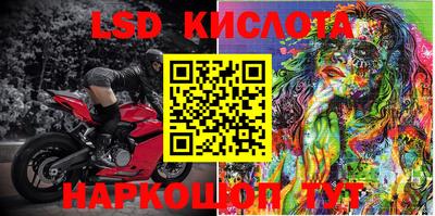 spice Кингисепп