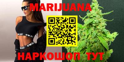 spice Кингисепп