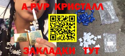 spice Кингисепп