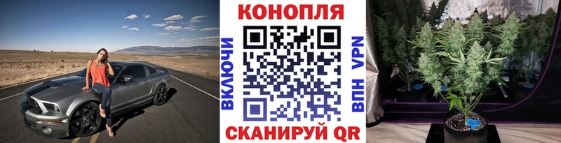 Бошки марихуана сатива  Сланцы 